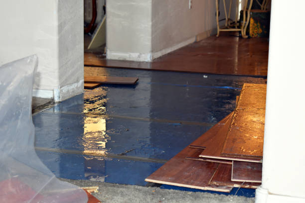 Professional Sewage Cleanup technician working in Schwertner, TX
